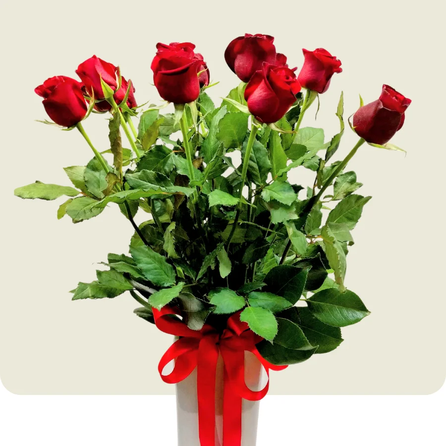 12 red roses arrangement