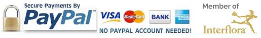 secure paypal payment and member of interflora